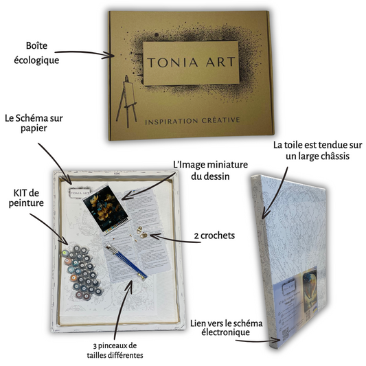 Présentation du contenu d'un kit de peinture par numéros de la marque Tonia Art. L'image montre divers composants annotés : une boîte écologique, une toile tendue sur châssis, un kit de peinture avec des pots numérotés, une image miniature du dessin final, le schéma sur papier, deux crochets pour l'accrochage, trois pinceaux de tailles différentes, et un lien vers le schéma électronique.