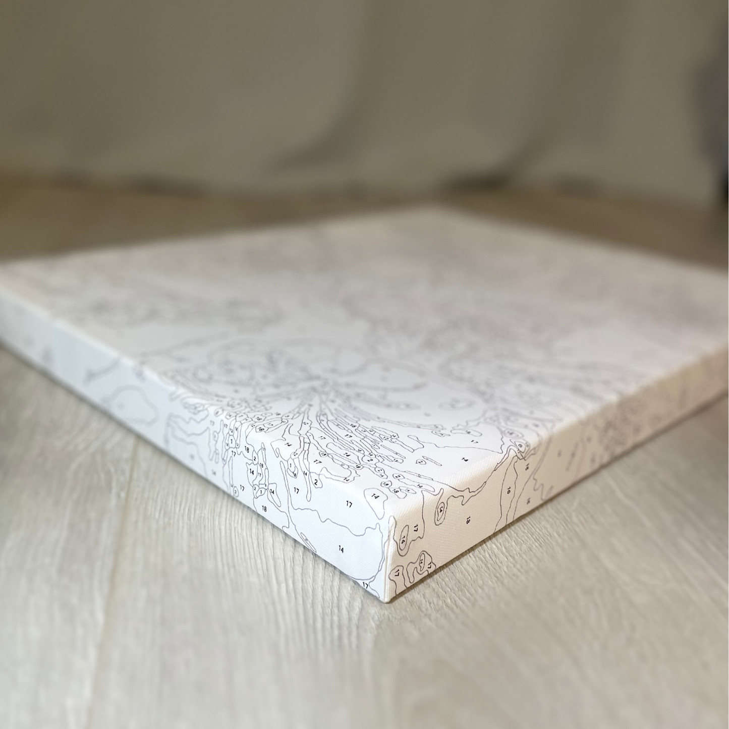 Une toile de peinture par numéros vierge tendue sur un cadre en bois, posée sur une surface en bois clair. La toile est imprimée de contours fins et de petites sections numérotées pour indiquer où chaque couleur doit être appliquée.